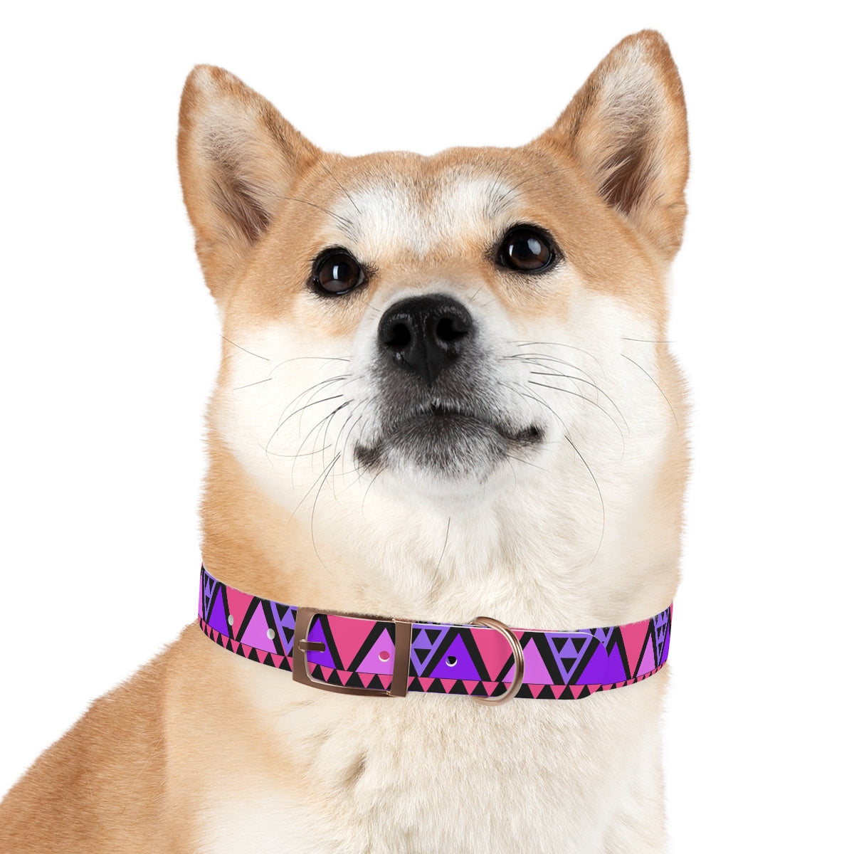 Aztec Dog Collar
